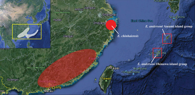 高山棘螈大争议：挽救物种能靠保密吗？