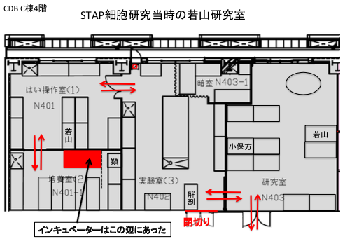 理研称小保方的“STAP细胞”来自胚胎干细胞