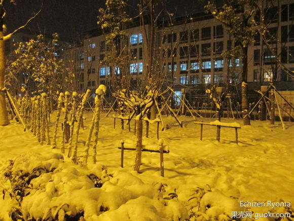 下场痛快雪，咋就这么难？