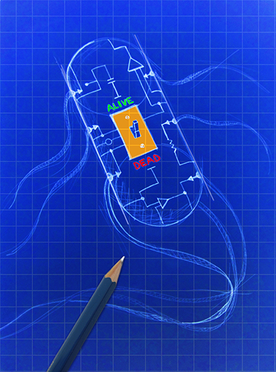 “终极保险”打造更安全的基因工程生物