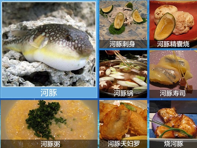 如何在《武媚娘传奇》里活下来（下）：动物毒素和堕胎药