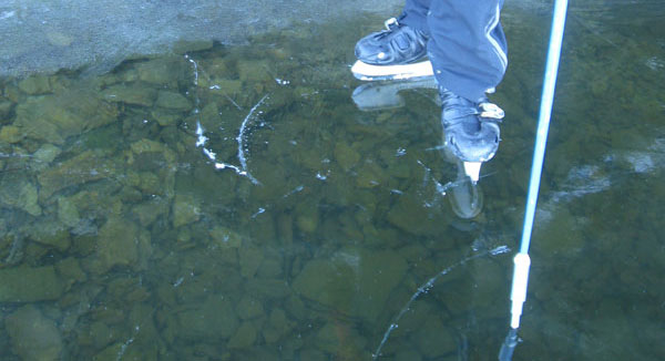 【春节怎么办】春节安全指南——出行篇