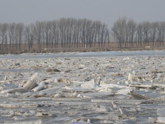 【春节怎么办】春节安全指南——出行篇