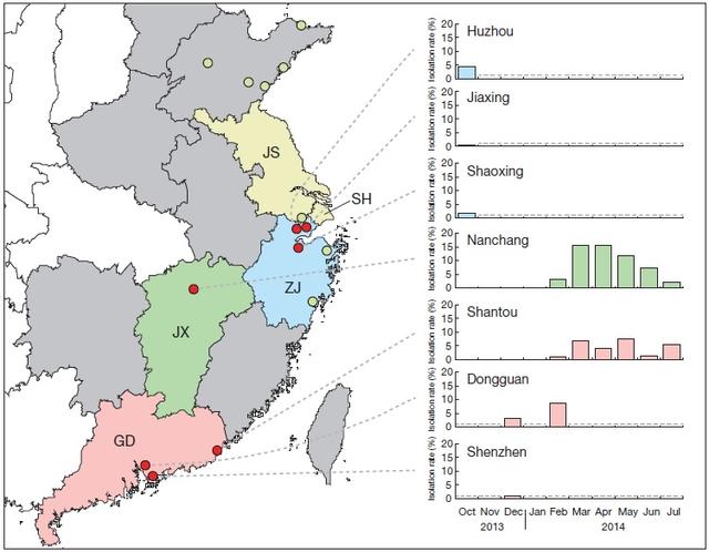 H7N9第二轮传播，活禽市场仍是关键