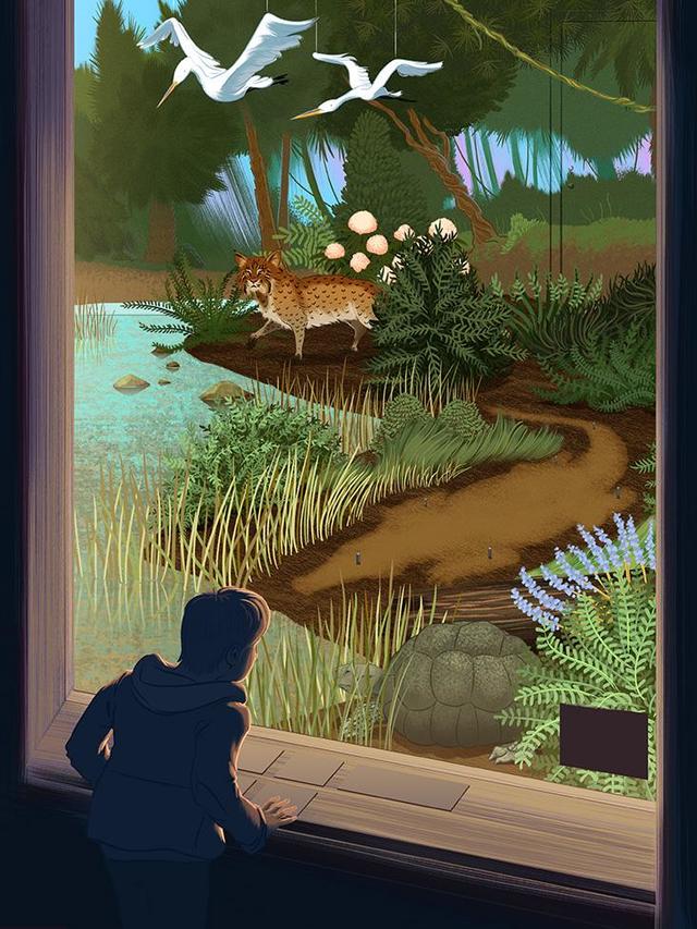 “活化石”，其实根本就不存在