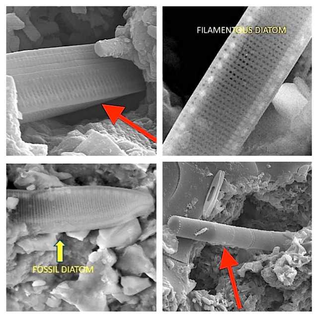 67P彗星发现生命确切证据？你可长点心吧！