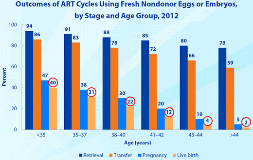 我为什么不愿冷冻卵子