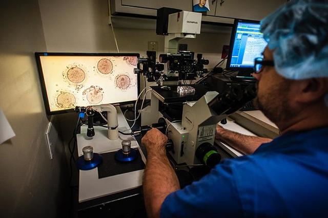 我为什么不愿冷冻卵子