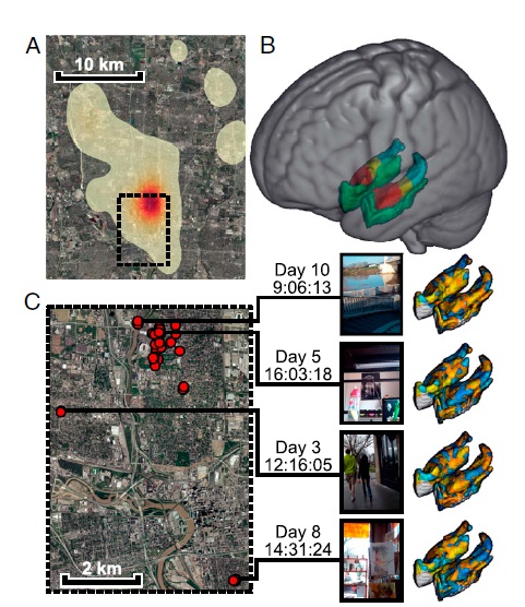 探寻人脑“定位系统”，智能手机也来帮忙