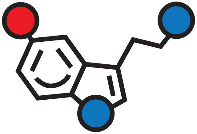【七夕专稿】“爱情分子”：既不只管爱情，也管不完爱情