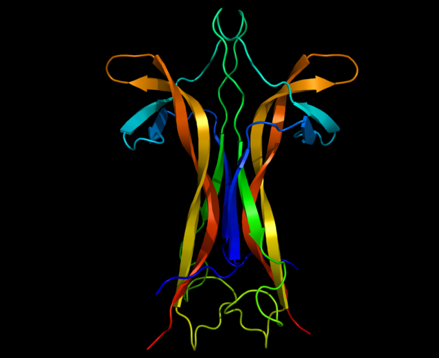 【七夕专稿】“爱情分子”：既不只管爱情，也管不完爱情