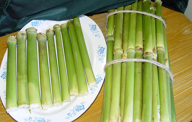 高粱：从非洲来的“毒品”还是希望？