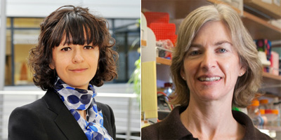 汤森路透引文桂冠公布：今年诺奖会颁给他们吗？