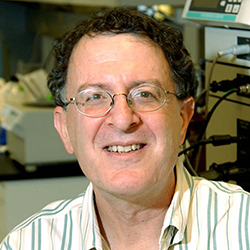 汤森路透引文桂冠公布：今年诺奖会颁给他们吗？