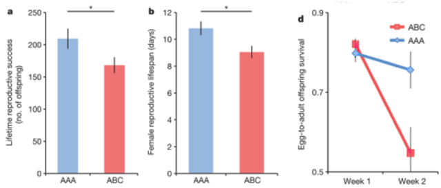 兄弟同追求，妹子有福气？