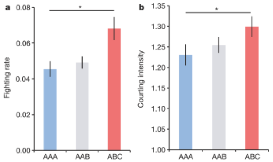 兄弟同追求，妹子有福气？