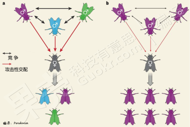 兄弟同追求，妹子有福气？
