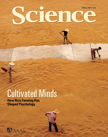 【果壳网专访】托马斯·托尔汉姆和他的“大米理论”