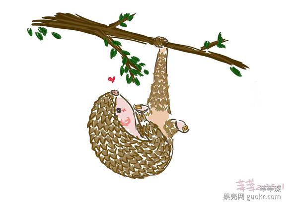 特大走私案频发：穿山甲缘何被残害？