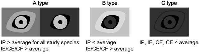 汪星人也会眉目传情