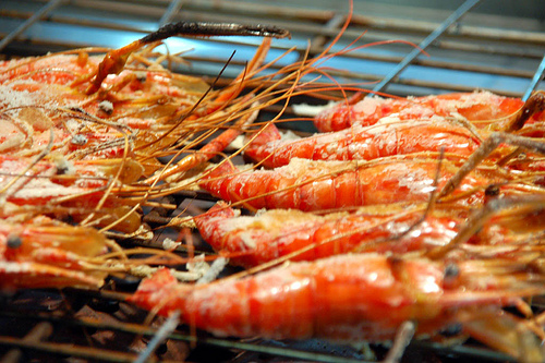 想吃大个儿的虾？让它们都变成男孩子就好了！