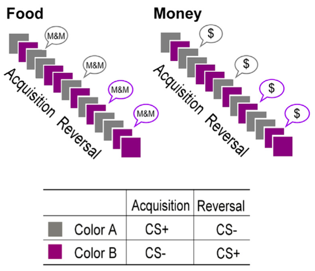 【论文故事】涉及食物时，肥胖症女性的学习能力可能被削弱