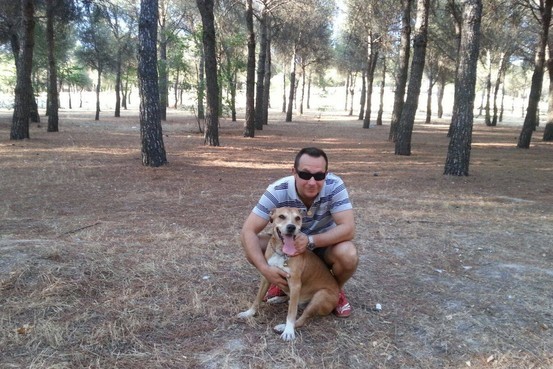 狗真的会传播埃博拉吗？