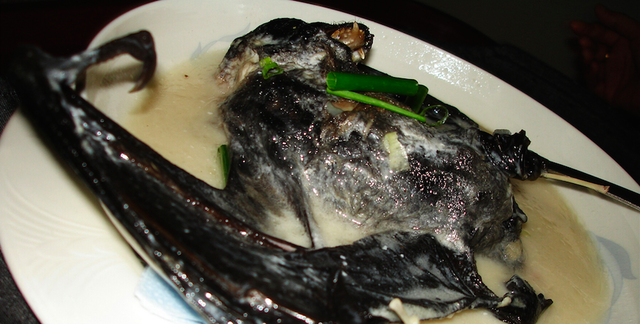 狗真的会传播埃博拉吗？