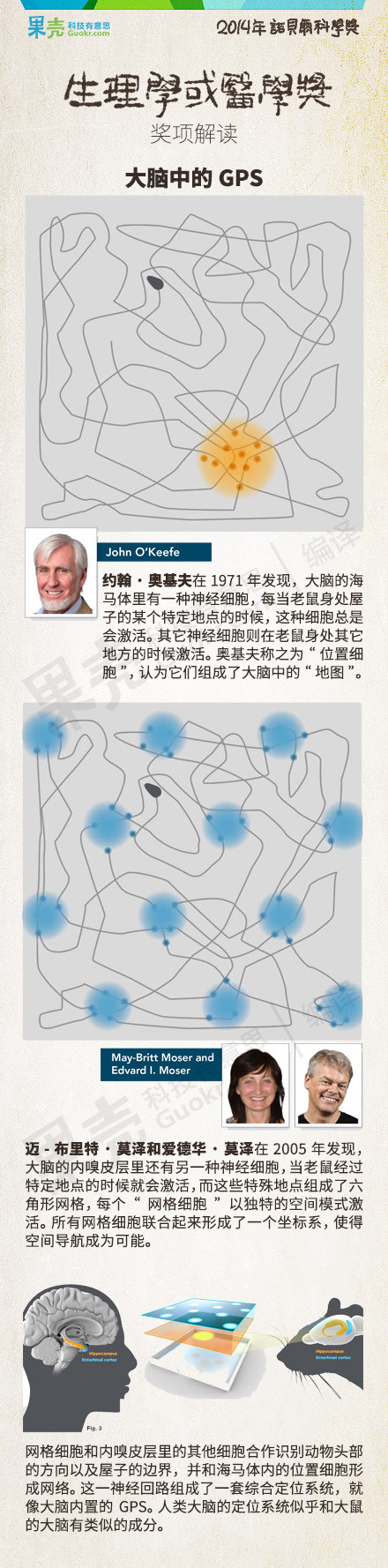 【2014诺贝尔奖】生理学或医学奖揭晓