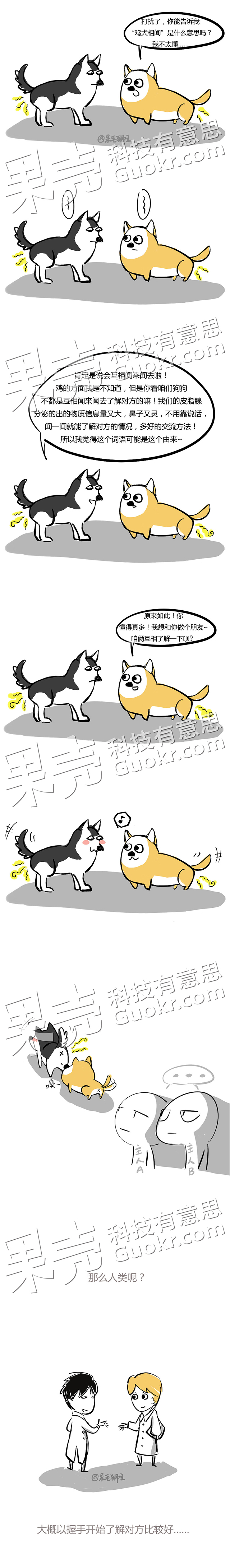 汪星人：闻屁股其实是一种交流