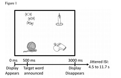 多学外语，锻炼大脑，现在也不晚
