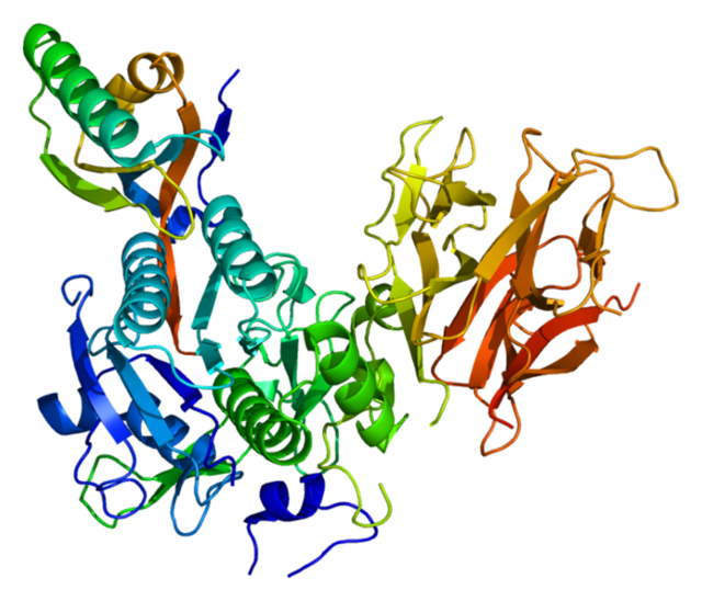 699px-Protein_PCSK9_PDB_2p4e.png