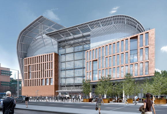 《自然》：2015年科学展望