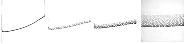 加点泡沫，咖啡不易洒