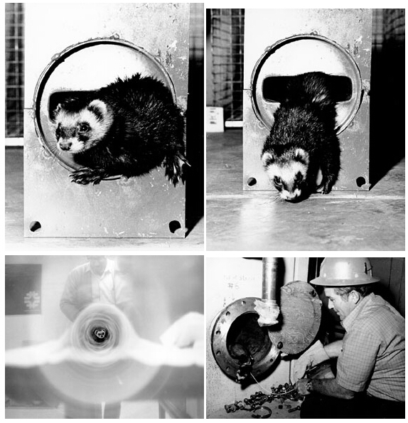 关于粒子加速器你可能不知道的10件事