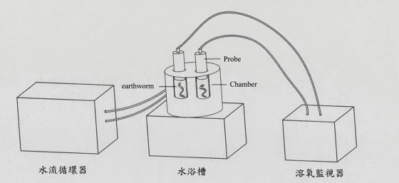 蚯蚓为什么要在大雨过后爬到地表？