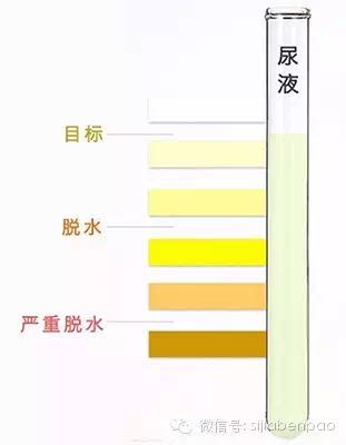 “晒跑族”们还在等点赞？小心你晒的可能是“伤害”
