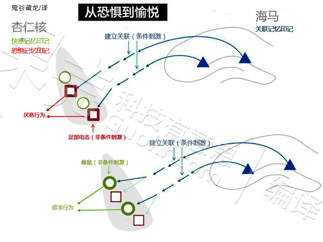 【论文故事】甜蜜还是恐惧：记忆是如何被改写的？