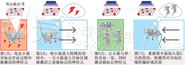 【论文故事】甜蜜还是恐惧：记忆是如何被改写的？
