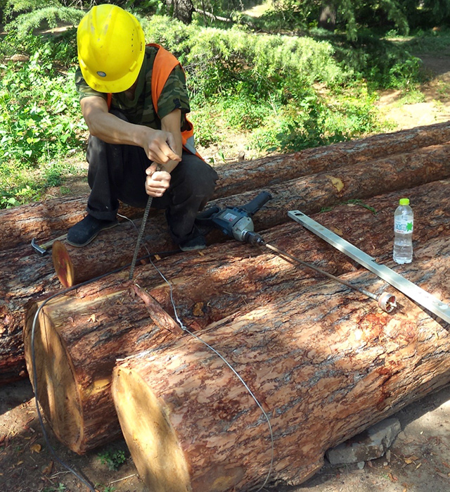 怎样给大象做玩具？