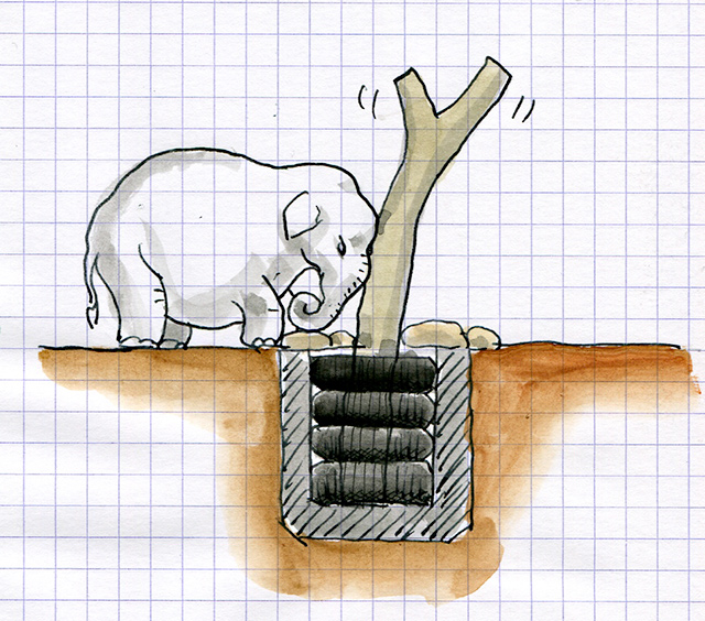 怎样给大象做玩具？