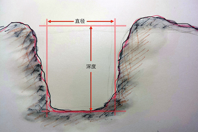 怎样给大象做玩具？
