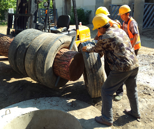 怎样给大象做玩具？