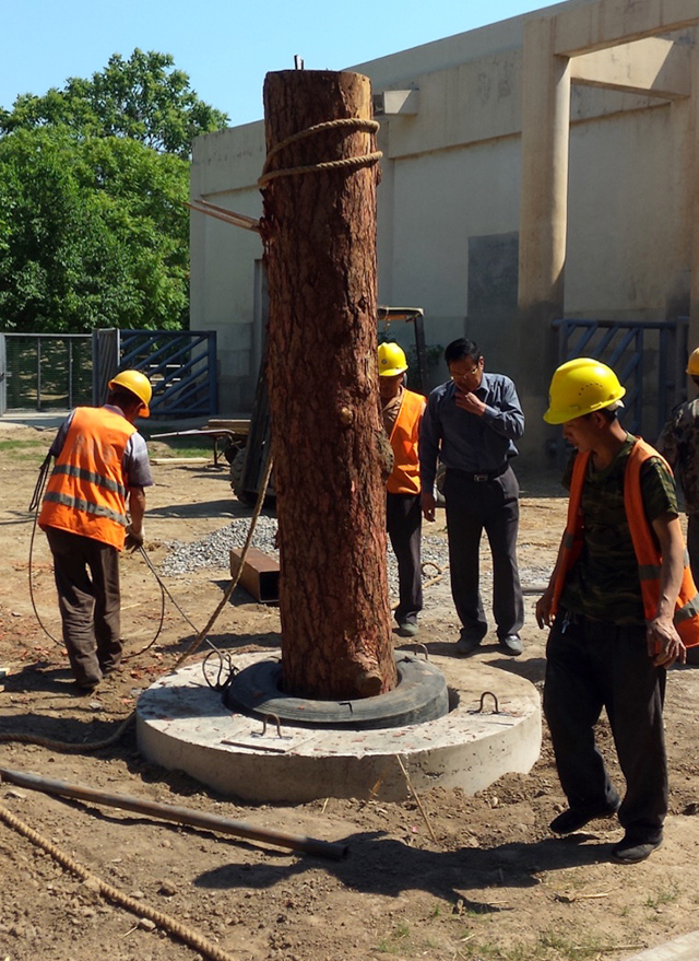 怎样给大象做玩具？