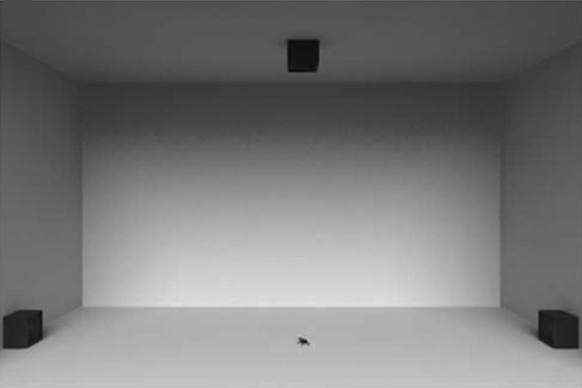 爱我还是他，为啥选个渣