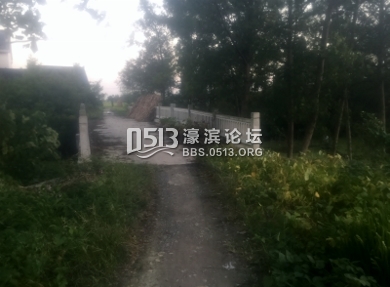 IMG_0702 (390x287) (2).jpg