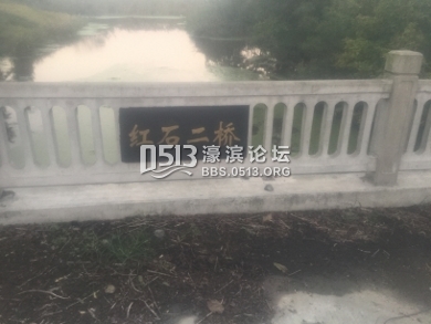 IMG_0703 (390x293).jpg