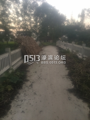 IMG_0707 (293x390).jpg