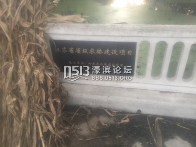 IMG_0705 (390x293).jpg