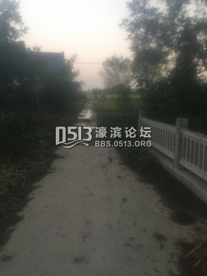 IMG_0706 (293x390).jpg